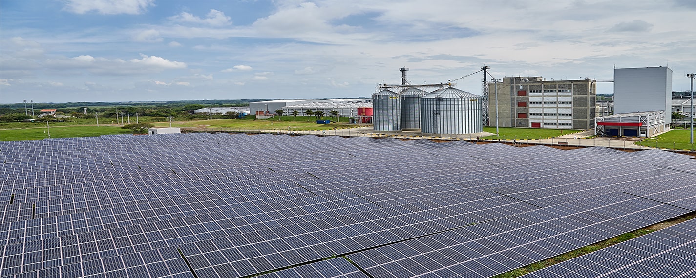 C.E.O. and Colombina Bank on renewable energy with a self-generating solar farm at  the Santander de Quilichao cookie plant